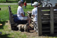 /album/otevrene-sklepy-23-5-2026/dsc-0029-jpg4/