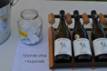 /album/otevrene-sklepy-23-5-2026/dsc-0034-jpg4/