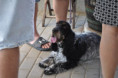/album/otevrene-sklepy-23-5-2026/dsc-0182-jpg6/
