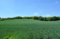 /album/otevrene-sklepy-23-5-2026/dsc-0199-jpg6/