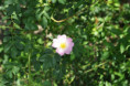 /album/otevrene-sklepy-23-5-2026/dsc-0239-jpg5/