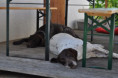 /album/otevrene-sklepy-23-5-2026/dsc-0384-jpg5/
